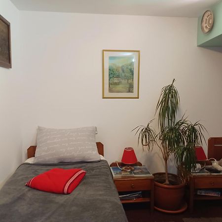 Brasovia Apartment Bagian luar foto