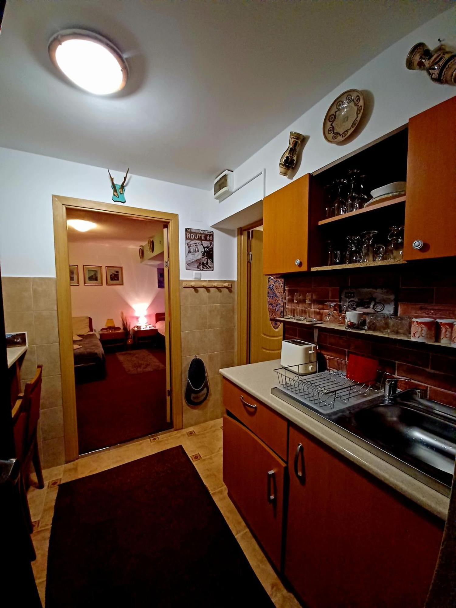 Brasovia Apartment Bagian luar foto